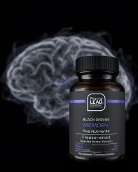 Memory Plus Nutrients